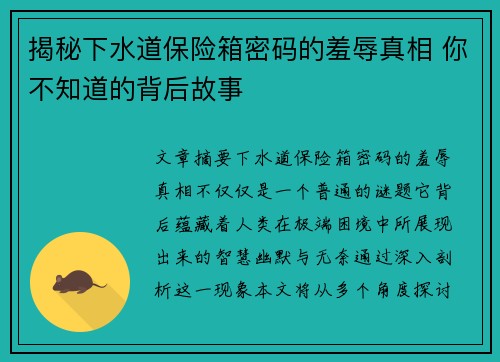揭秘下水道保险箱密码的羞辱真相 你不知道的背后故事